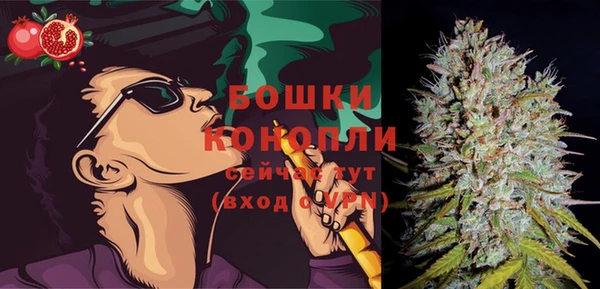 apvp Горнозаводск