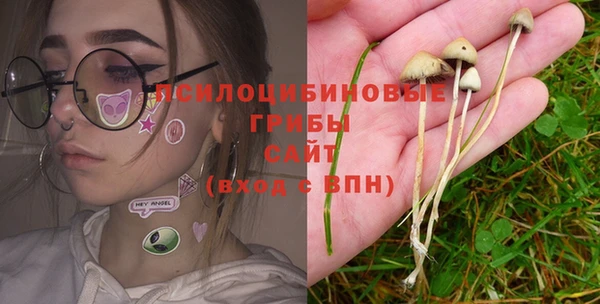 MESCALINE Горно-Алтайск