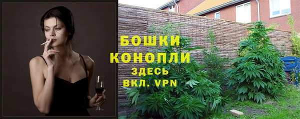 apvp Горнозаводск