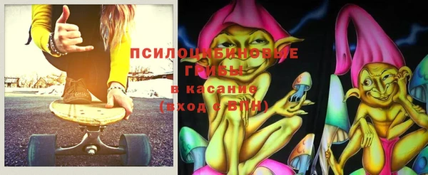 apvp Горнозаводск