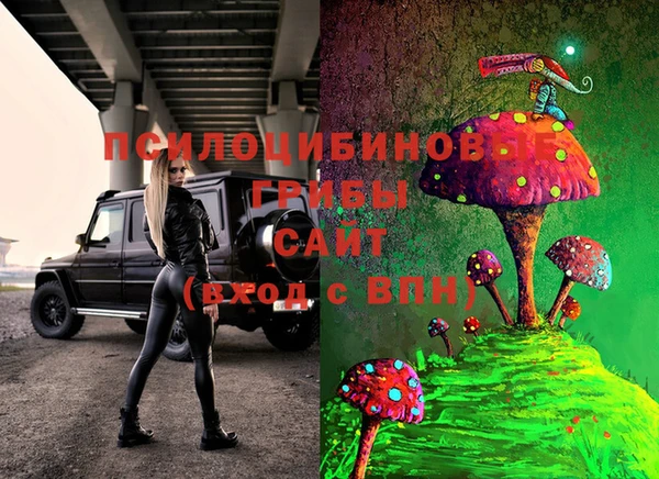 MESCALINE Горно-Алтайск