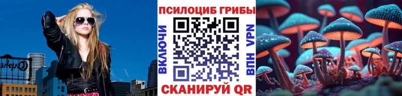 Псилоцибиновые грибы MAGIC MUSHROOMS  omg рабочий сайт  Саранск  магазин продажи наркотиков 