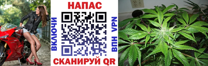 как найти наркотики  Саранск  Марихуана семена 